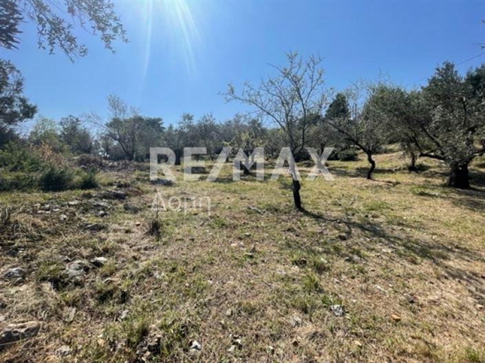 Image No.4-Property for sale