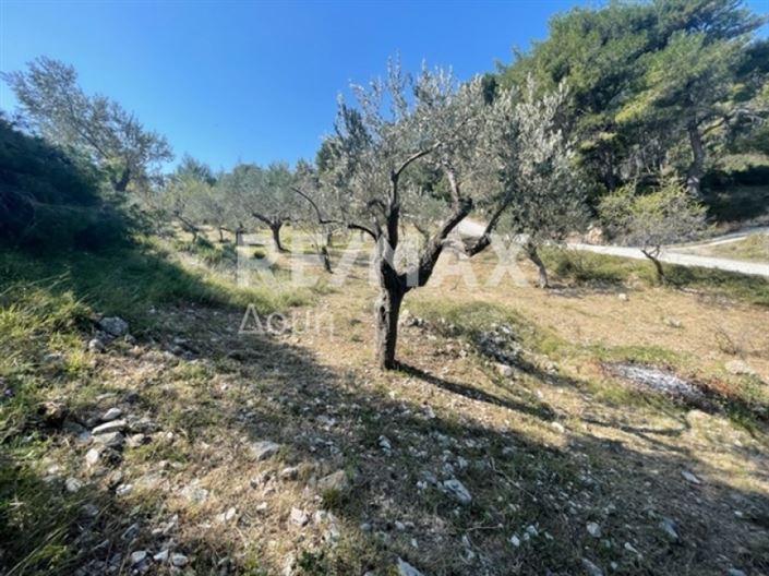 Image No.5-Property for sale