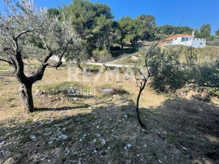 Image No.6-Property for sale