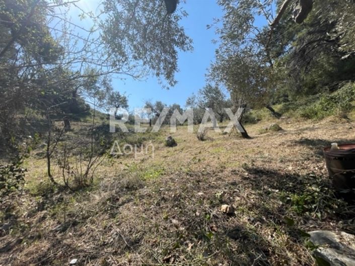 Image No.7-Property for sale