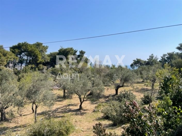 Image No.8-Property for sale