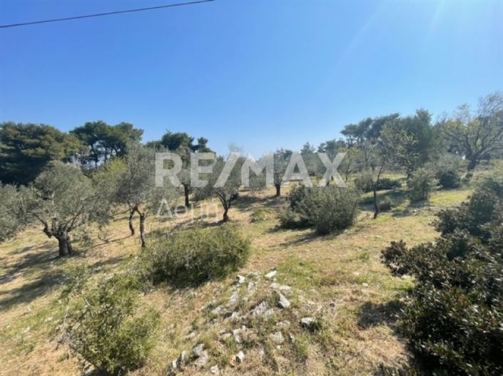 Image No.9-Property for sale