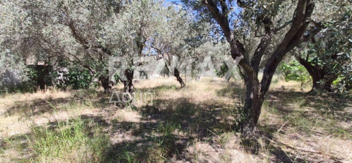 Image No.13-2 Bed Property for sale