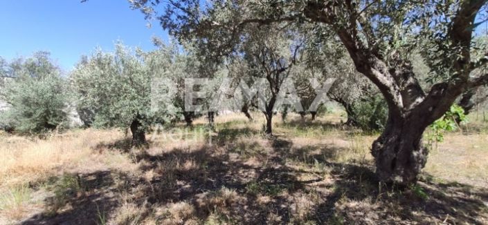 Image No.50-2 Bed Property for sale