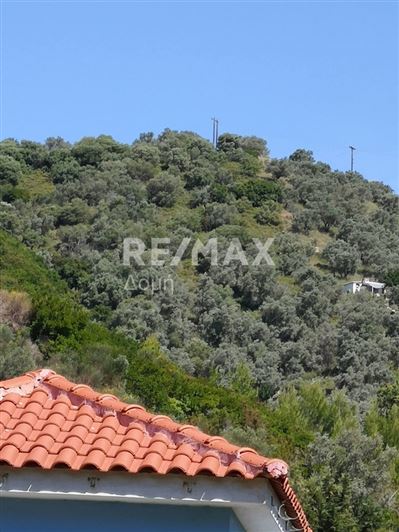 Image No.5-Land for sale