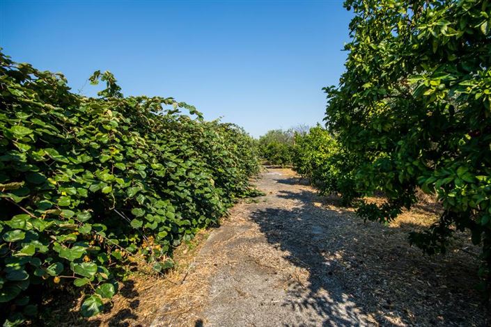 Image No.13-Land for sale