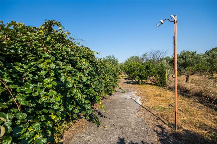 Image No.14-Land for sale