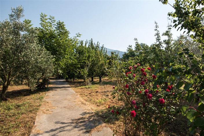 Image No.17-Land for sale