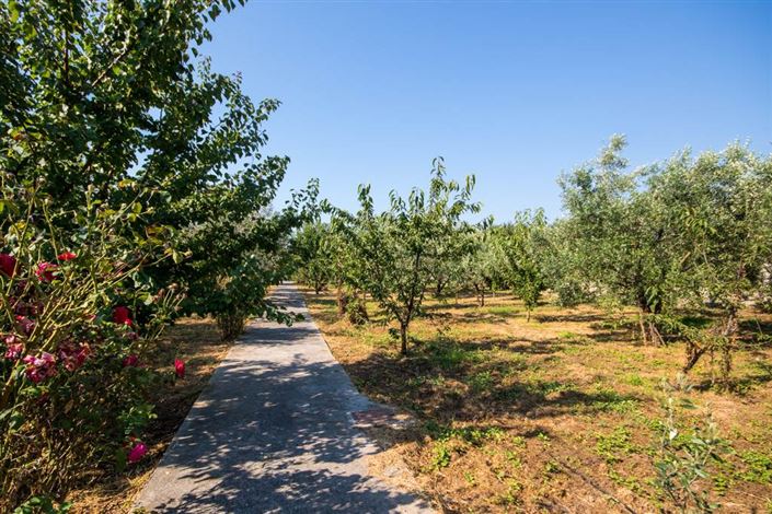 Image No.2-Land for sale