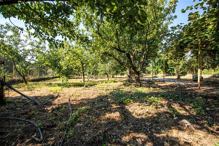 Image No.23-Land for sale