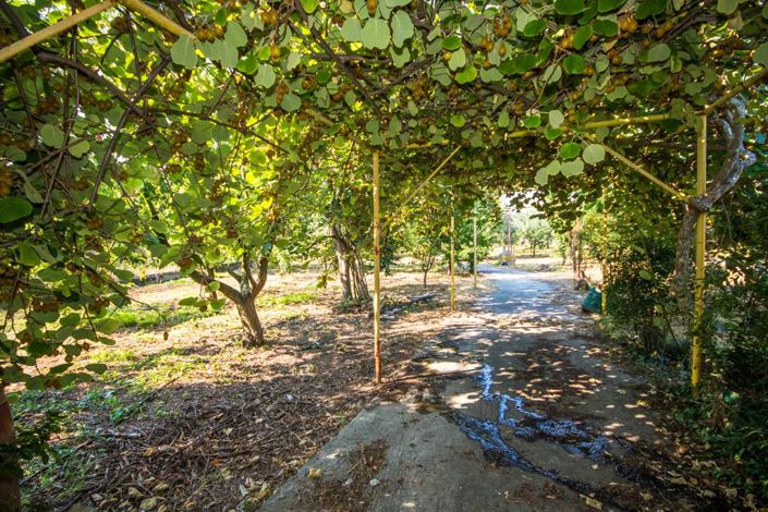 Image No.28-Land for sale