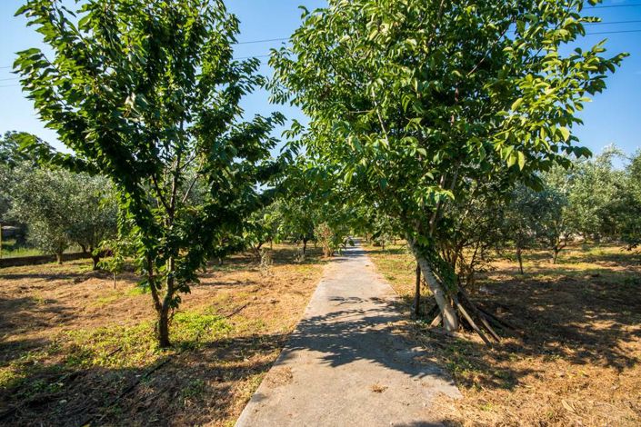 Image No.30-Land for sale