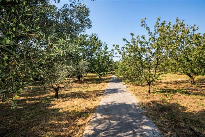 Image No.4-Land for sale