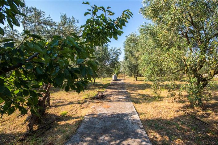 Image No.6-Land for sale