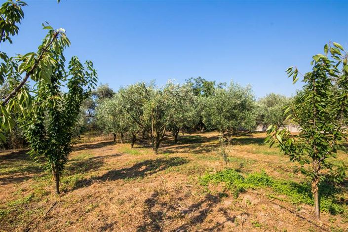 Image No.7-Land for sale