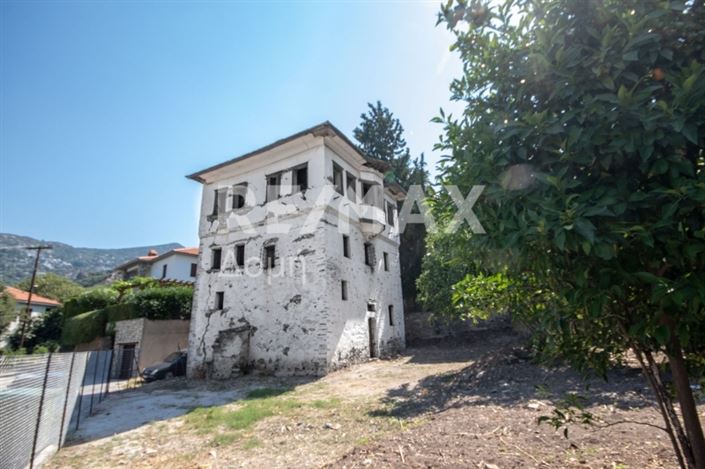 Image No.2-Mansion for sale