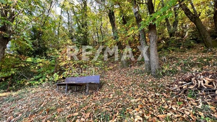 Image No.14-2 Bed House for sale