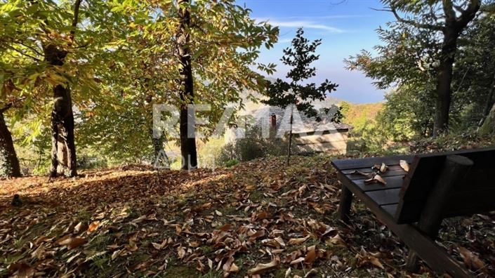 Image No.15-2 Bed House for sale