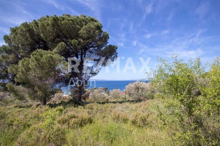 Image No.3-Property for sale