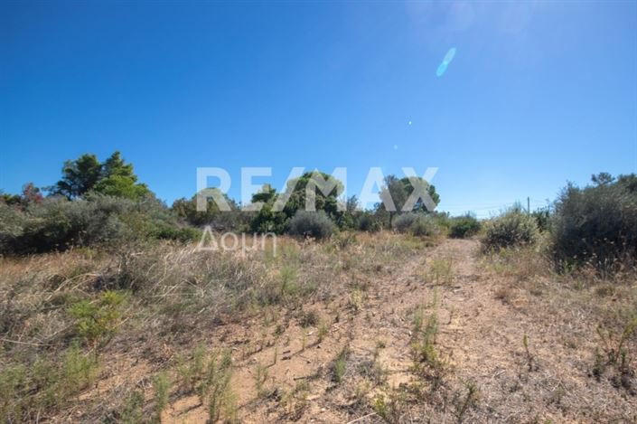 Image No.17-Property for sale