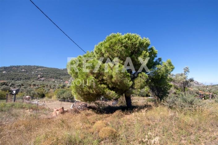 Image No.19-Property for sale