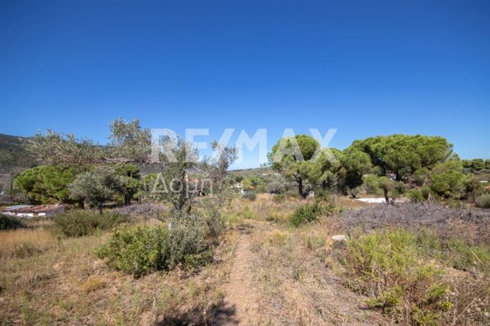 Image No.20-Property for sale