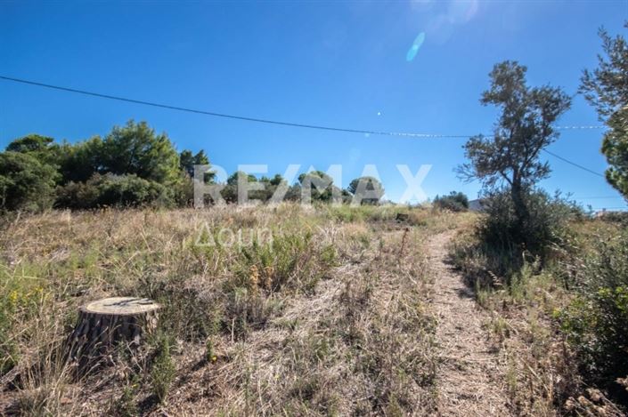 Image No.21-Property for sale