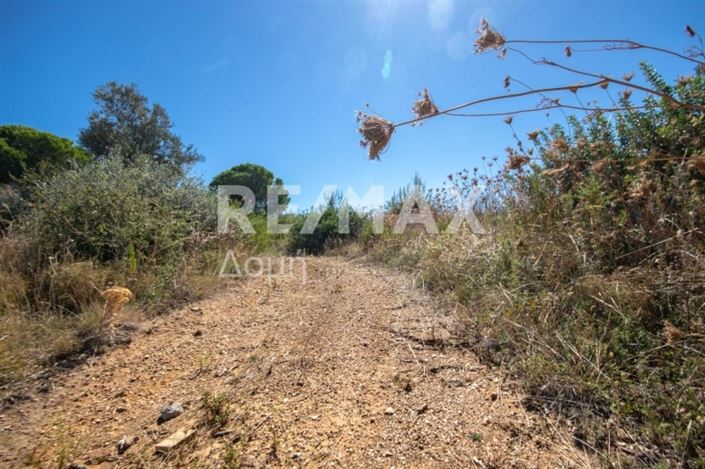 Image No.23-Property for sale