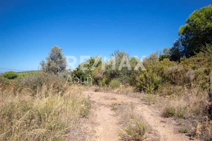 Image No.3-Property for sale