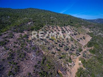 1 - Alonnisos, Property