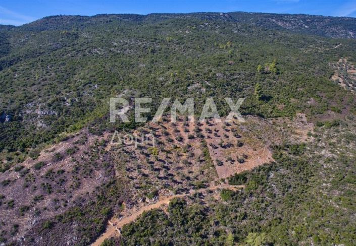 Image No.11-Property for sale