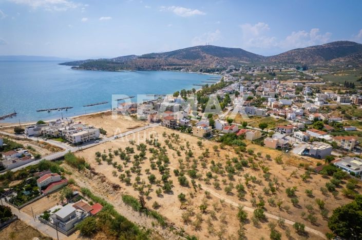 Image No.14-Property for sale