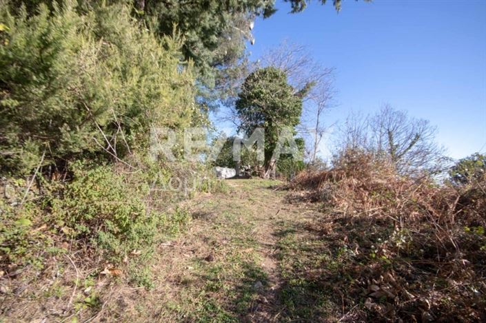 Image No.12-Land for sale