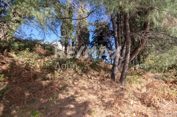 Image No.19-Land for sale