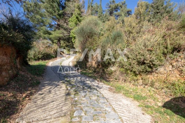 Image No.2-Land for sale