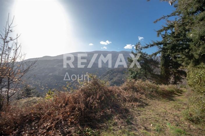 Image No.21-Land for sale