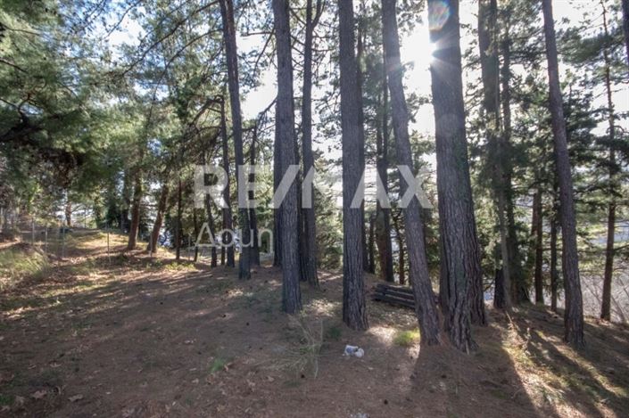 Image No.22-Land for sale