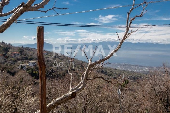 Image No.37-2 Bed Property for sale