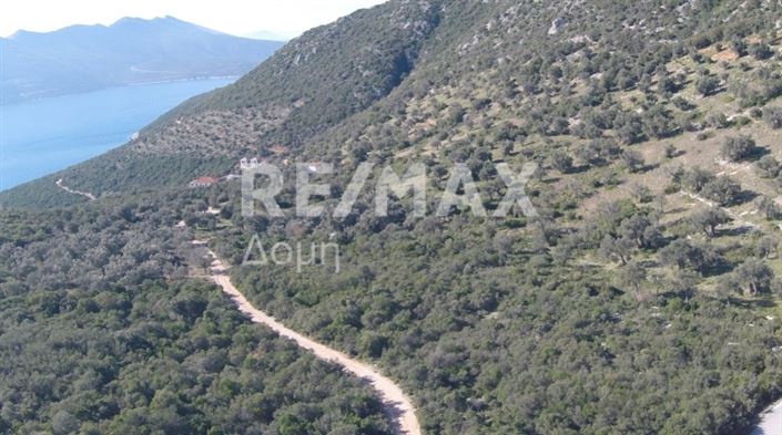 Image No.11-Property for sale