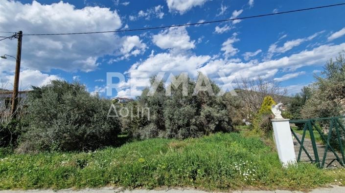 Image No.2-Land for sale