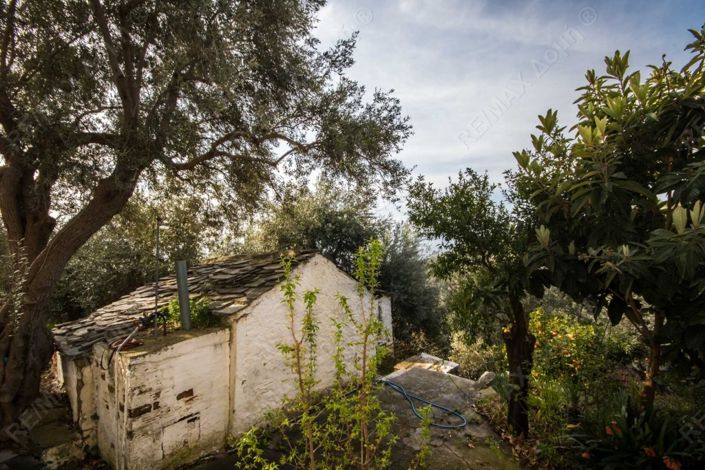 Image No.27-3 Bed Property for sale