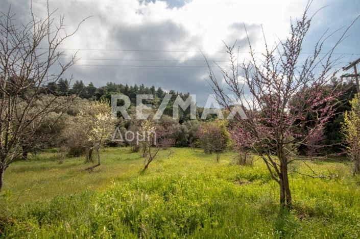 Image No.12-Property for sale