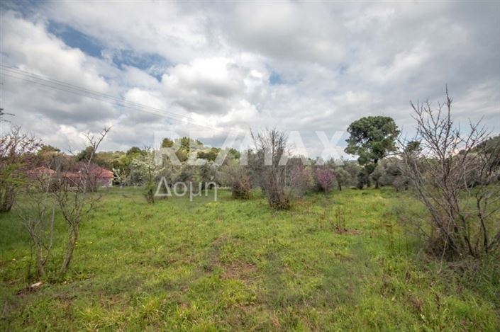 Image No.14-Property for sale