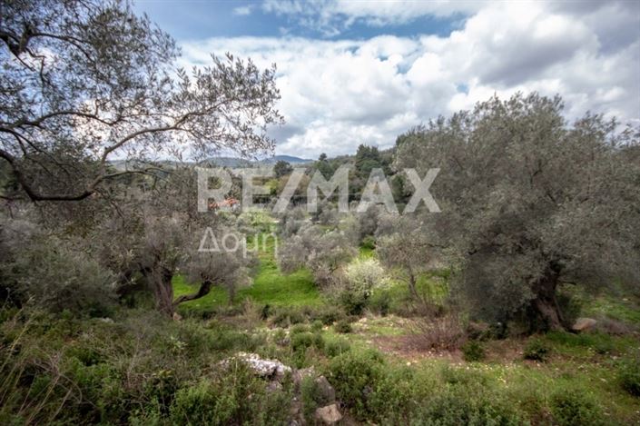 Image No.18-Property for sale