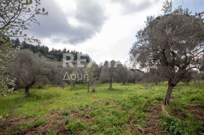 Image No.25-Property for sale