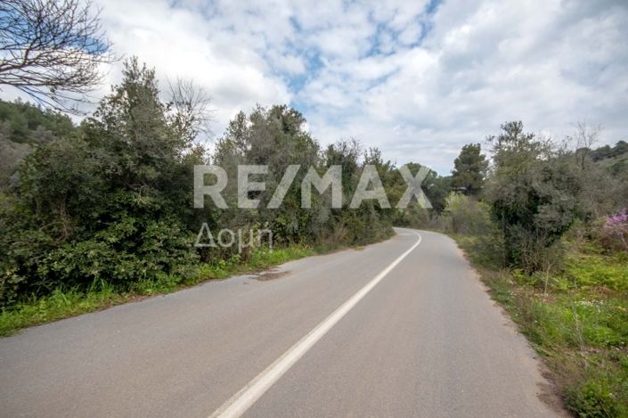 Image No.26-Property for sale