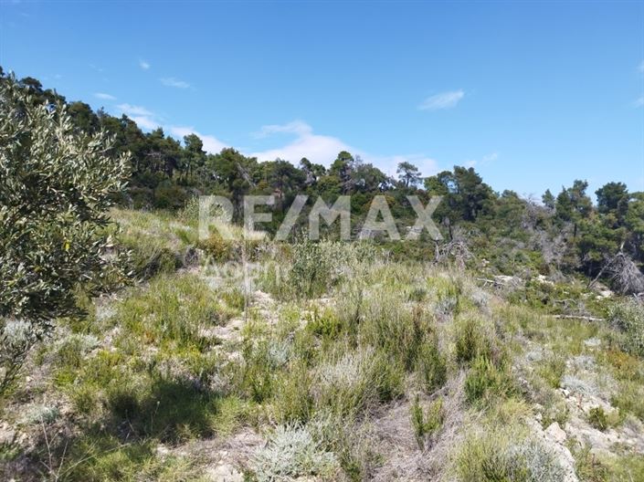 Image No.7-Land for sale