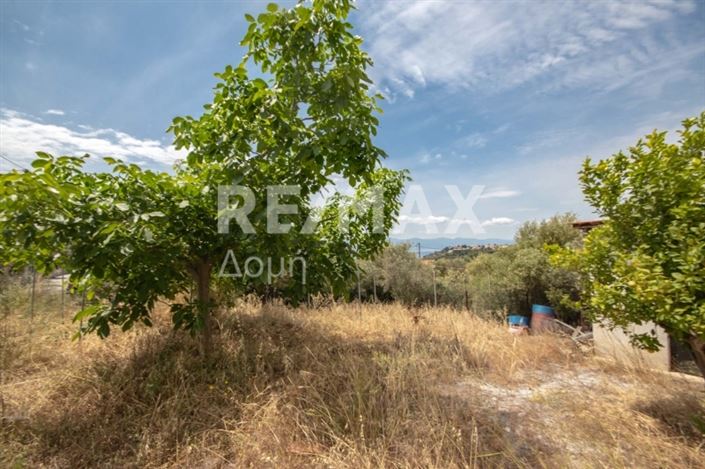 Image No.10-8 Bed Property for sale