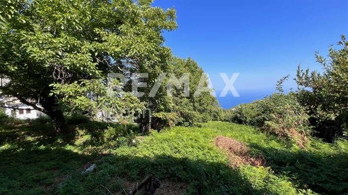 Image No.6-Property for sale