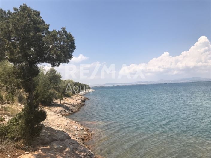 Image No.3-Property for sale